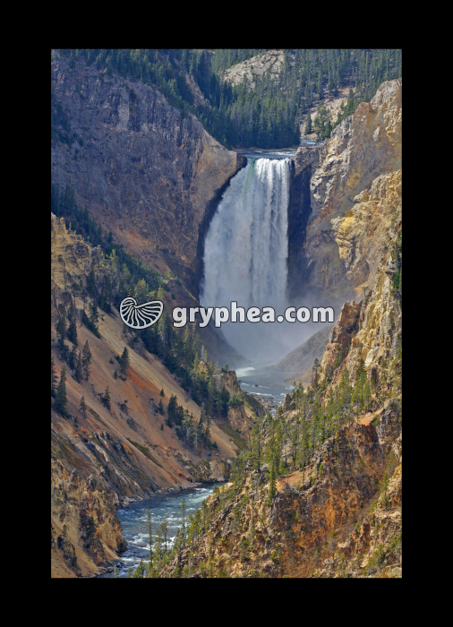 Yellowstone falls (Yellowstone NP, Wyoming, USA) - gryphea.com